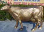 złota krowa do galerii handlowej